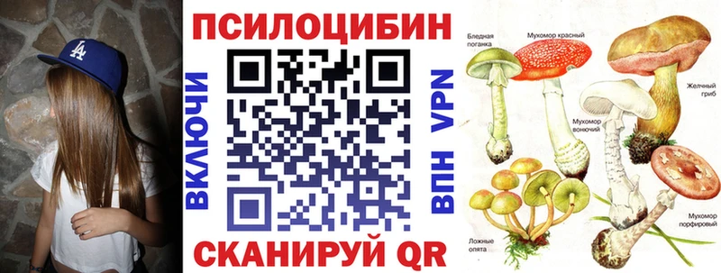 Галлюциногенные грибы Psilocybine cubensis  наркошоп  Мамоново 